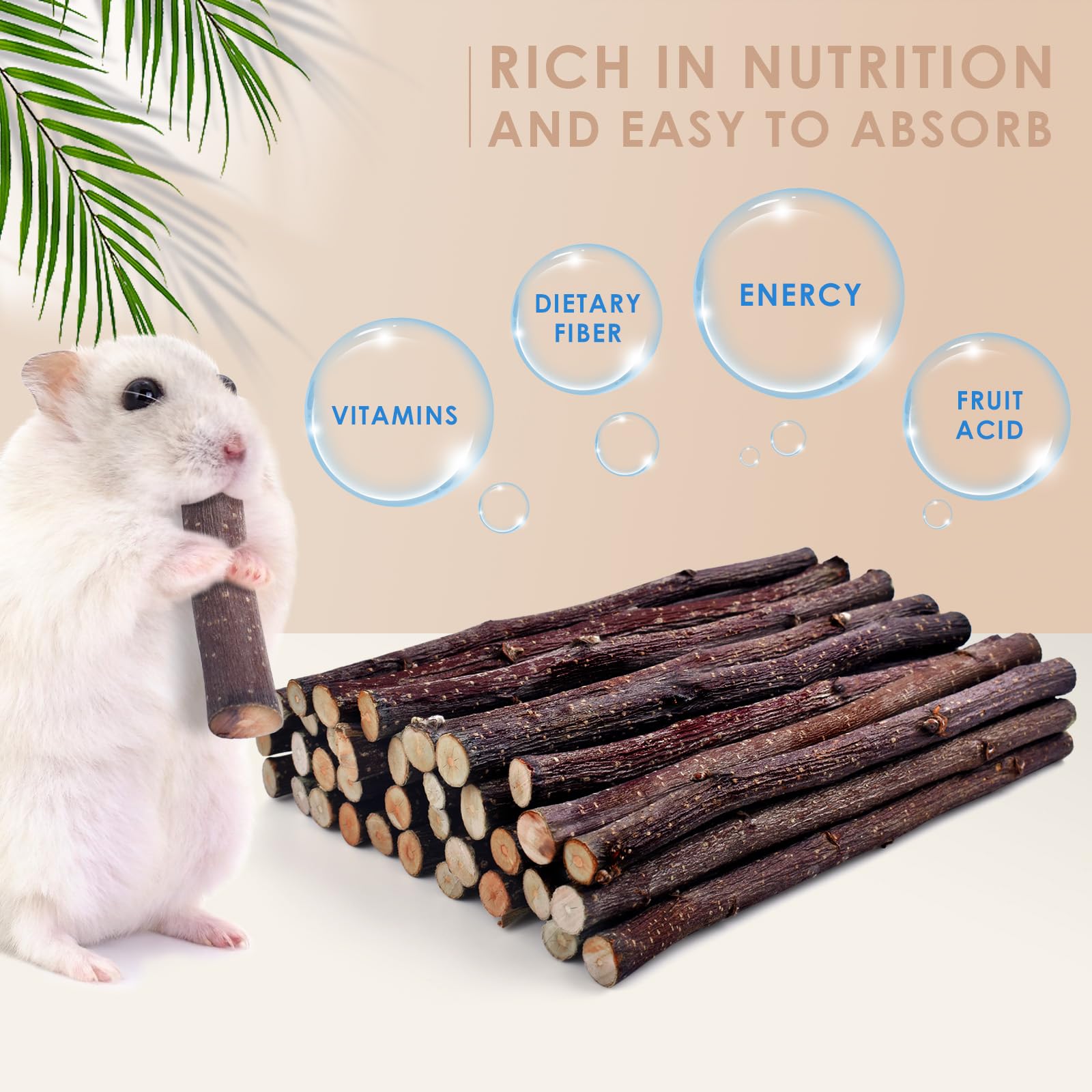 Bissap bâtons pomme chinchillas: plaisir fruité et usure régulière des dents