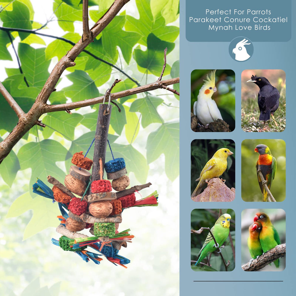 Bissap durable parrot toy withstands daily chewing for long-term enrichment
