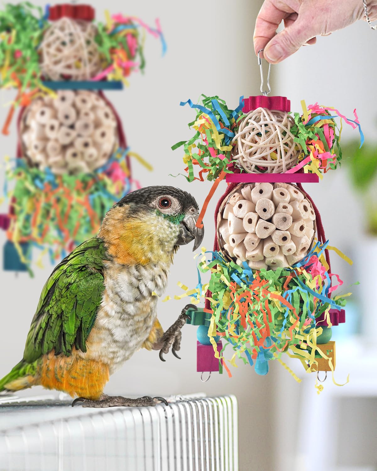Bissap non-toxic chew toy with rattan and wood