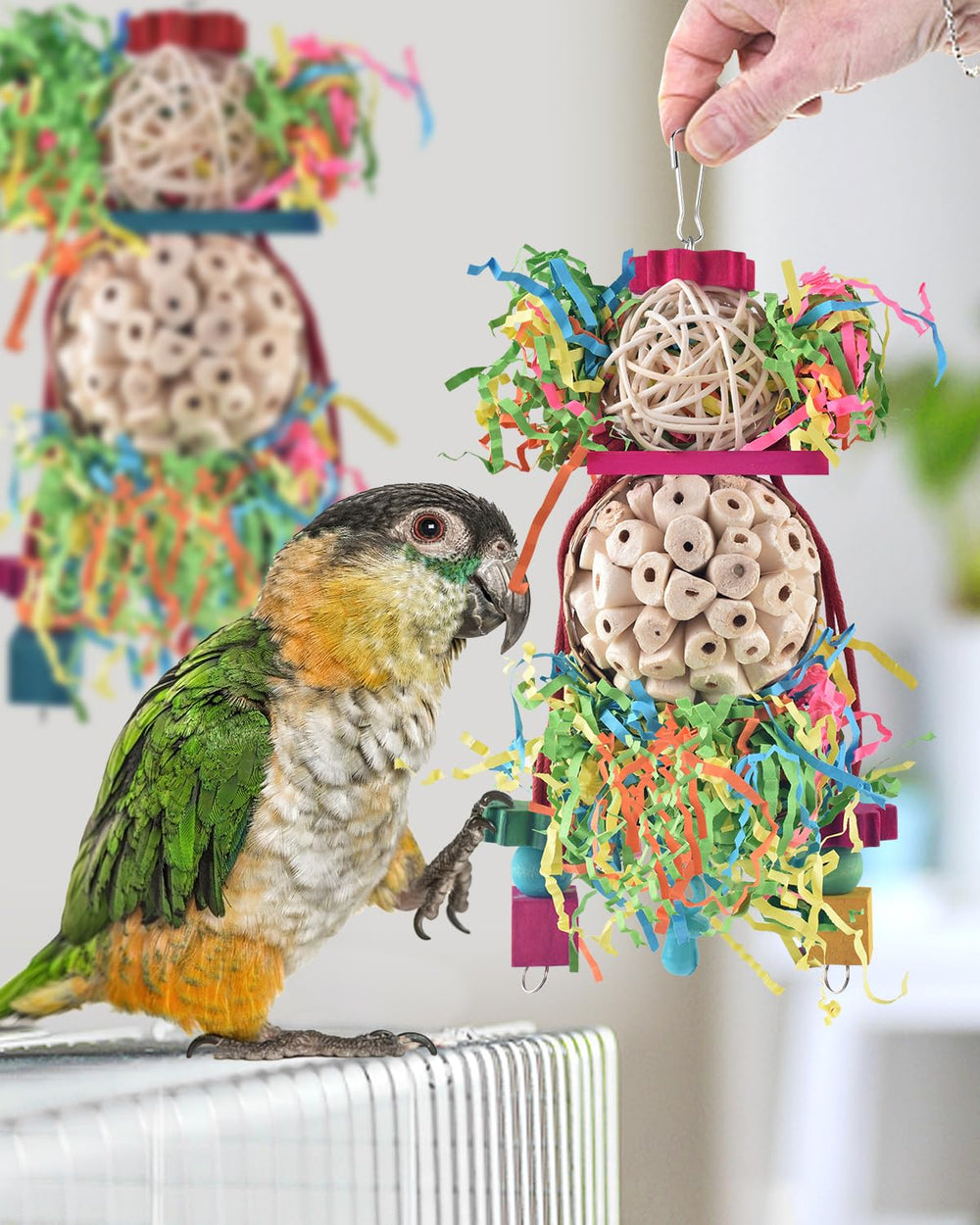 Bissap non-toxic chew toy with rattan and wood