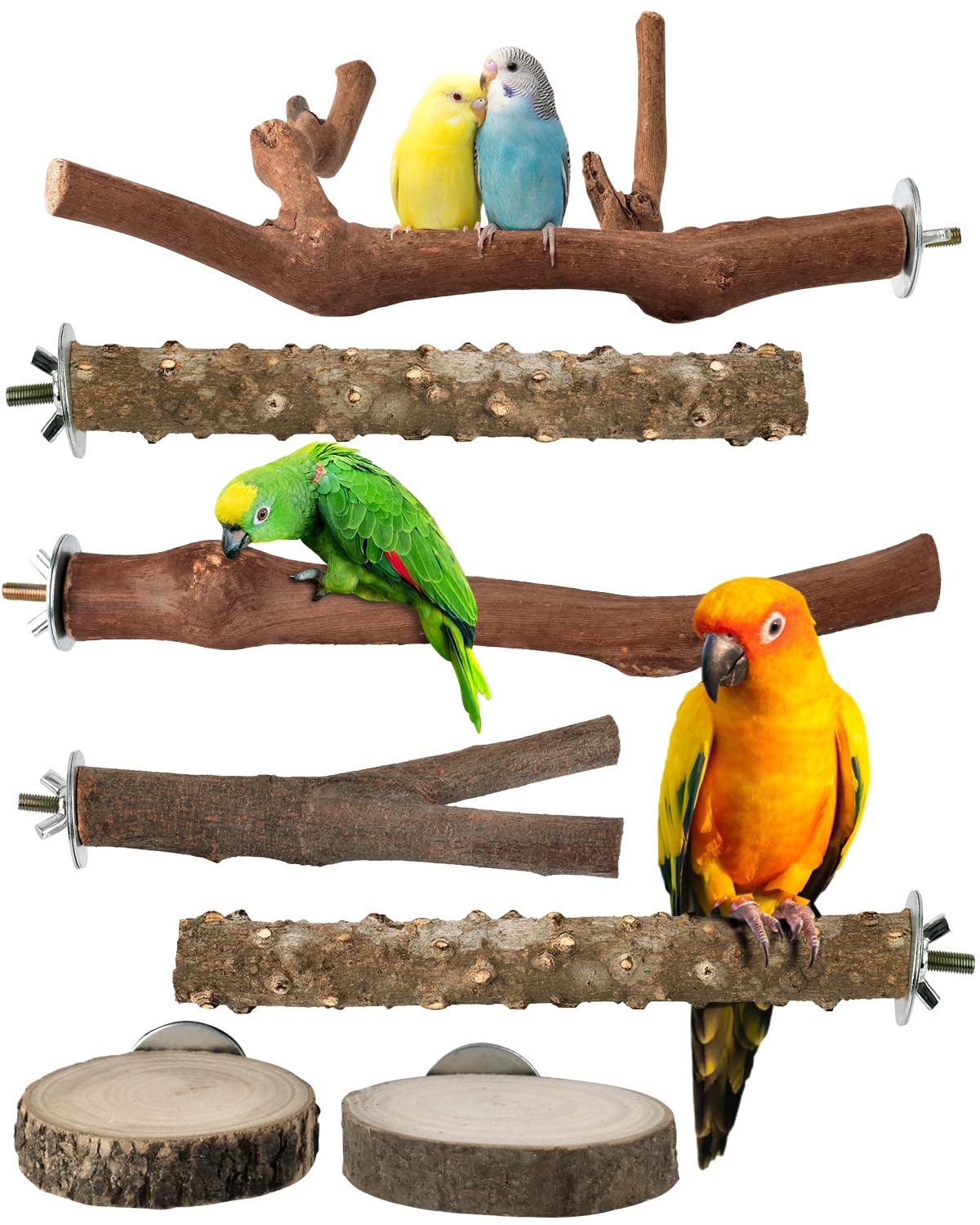 Bissap bird perch stand 7pcs assembled for versatile cage setup and training sessions