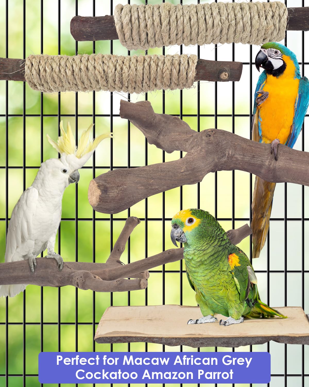 Bissap large-bird perch set ideal gift for Macaw African Grey and Amazon parrots.