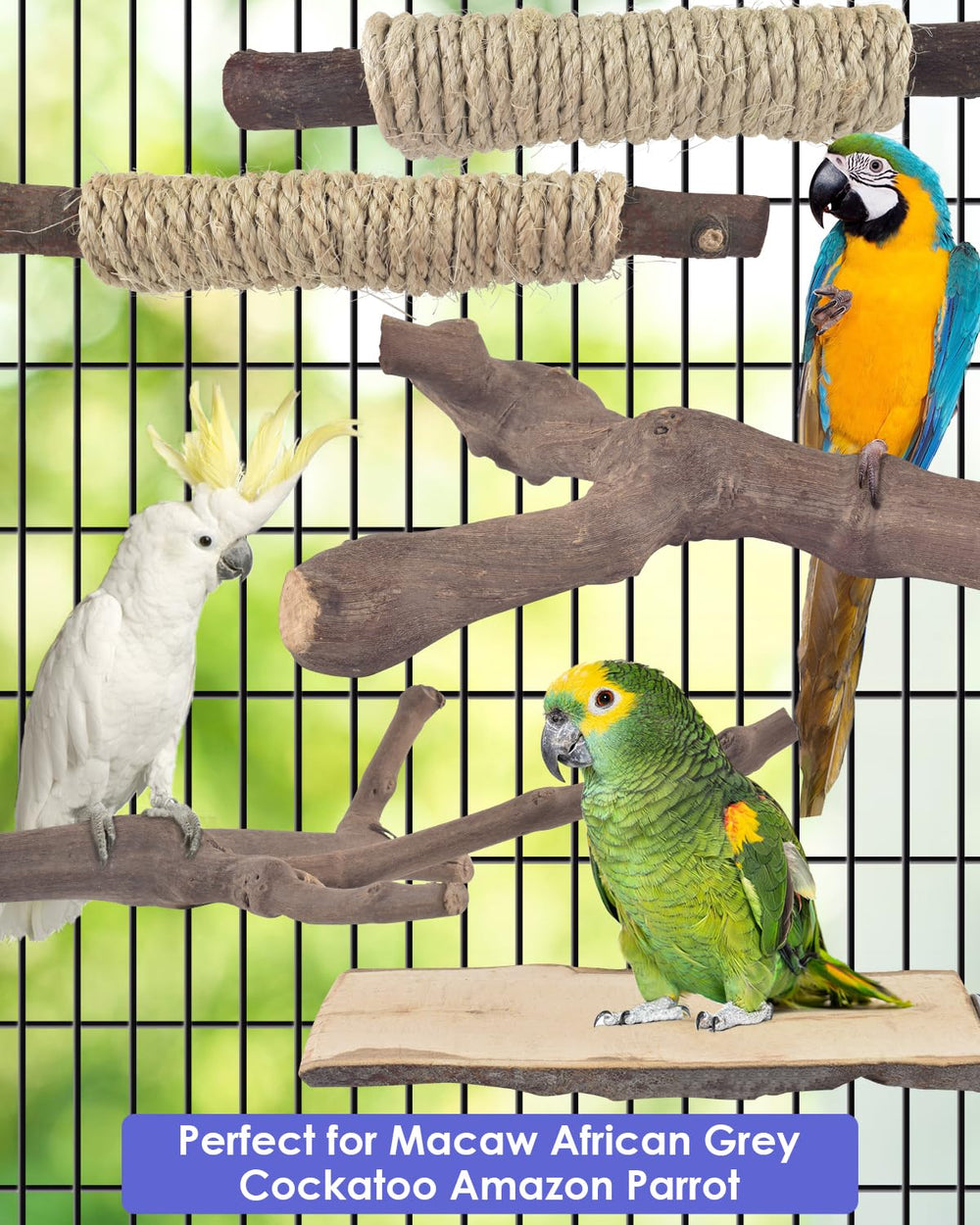 Bissap large-bird perch set ideal gift for Macaw African Grey and Amazon parrots.