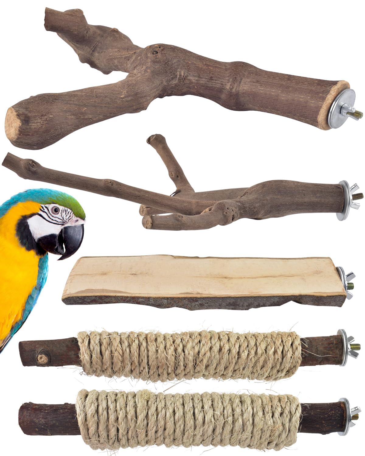 Bissap bird-perch stand natural wood showing FSC-certified materials for safe chewing.