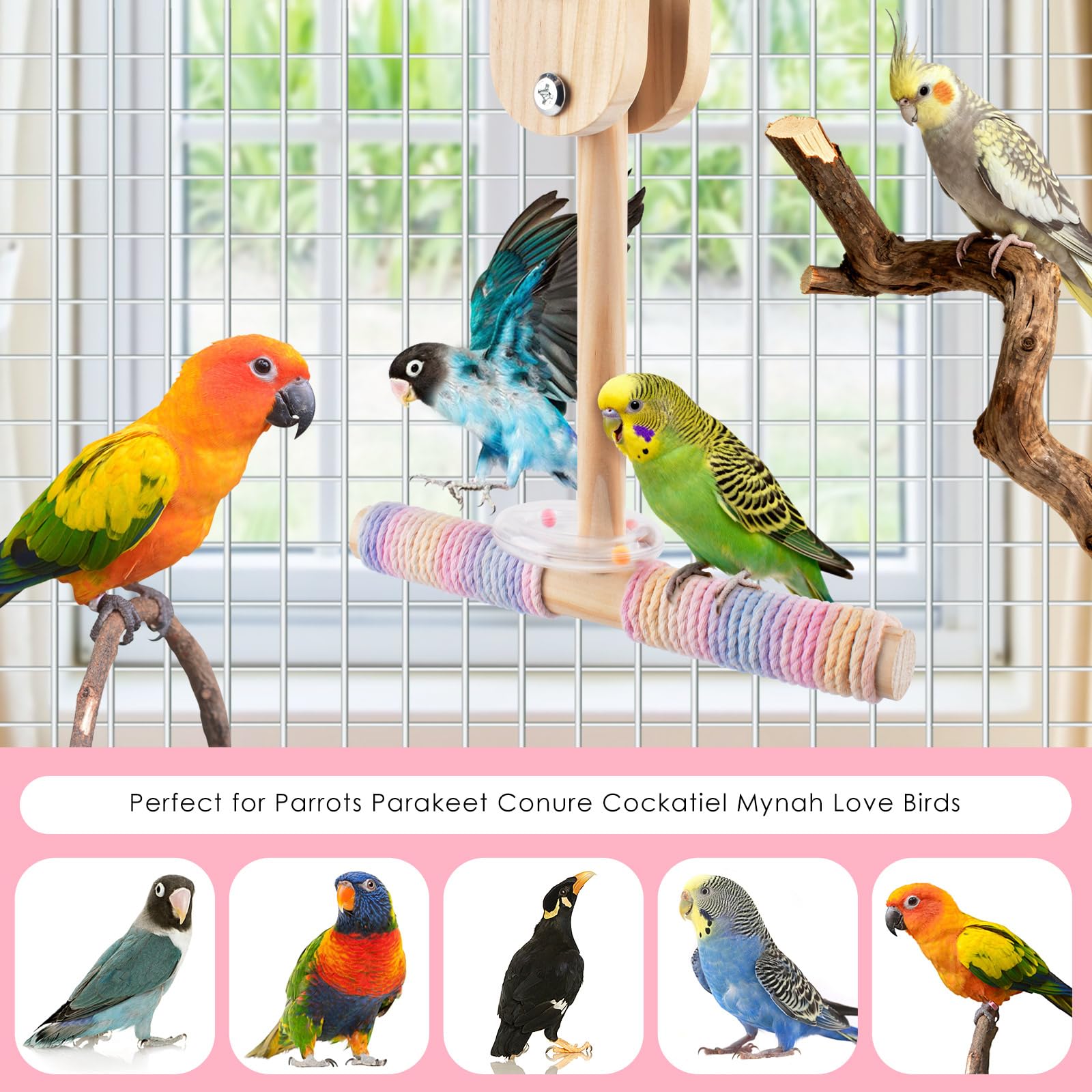 Bissap Bird Stand Perch Toy in cage with multiple birds at play