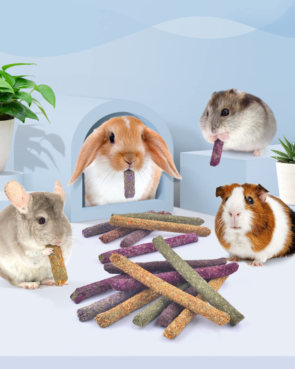 Bissap forget-me-not flavor sticks invite exploration and nibbling.