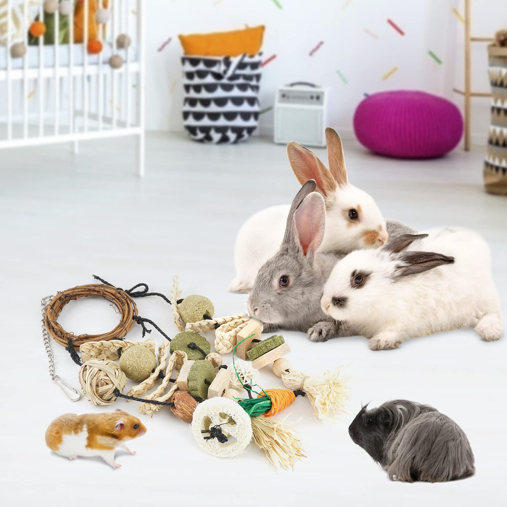 Bissap Bunny Chew Toy hanging setup adds cage enrichment.