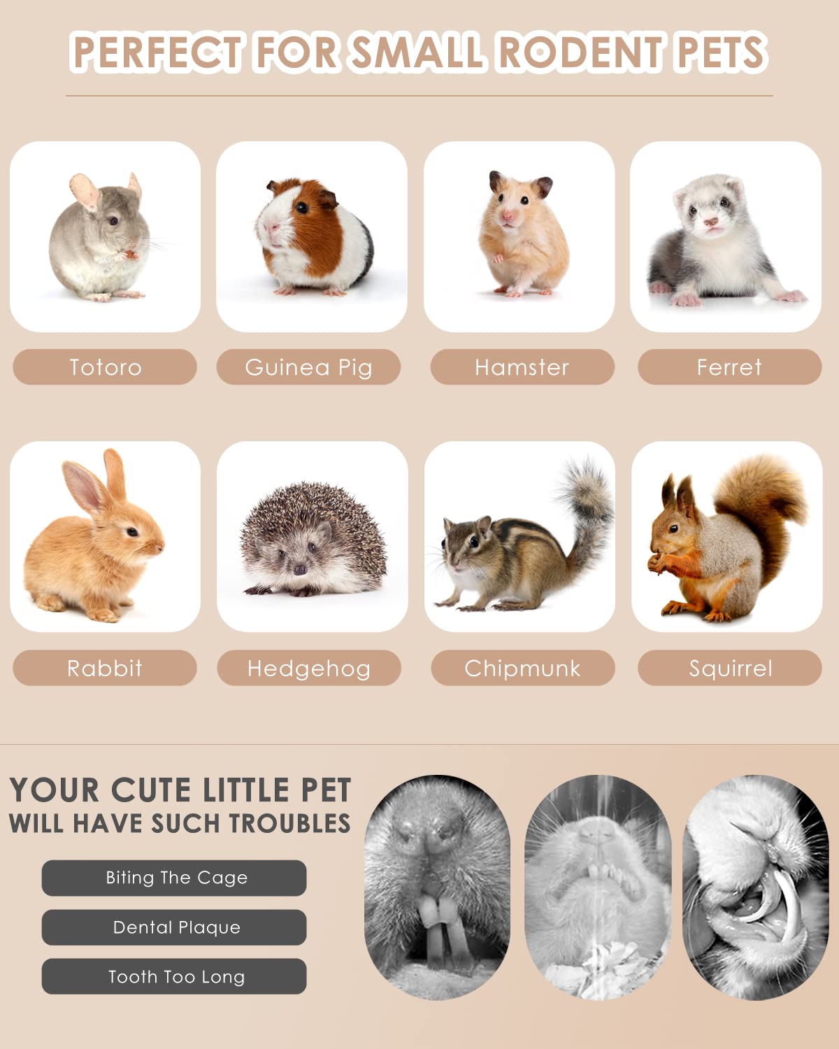 Bissap Bunny Chew Toys gift-ready packaging highlights a thoughtful treat for small-pet owners