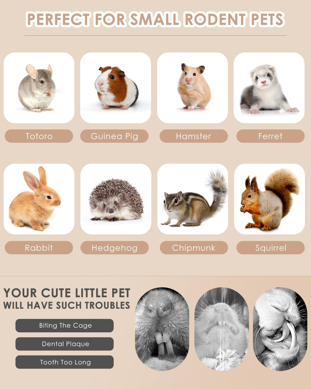 Bissap Bunny Chew Toys gift-ready packaging highlights a thoughtful treat for small-pet owners