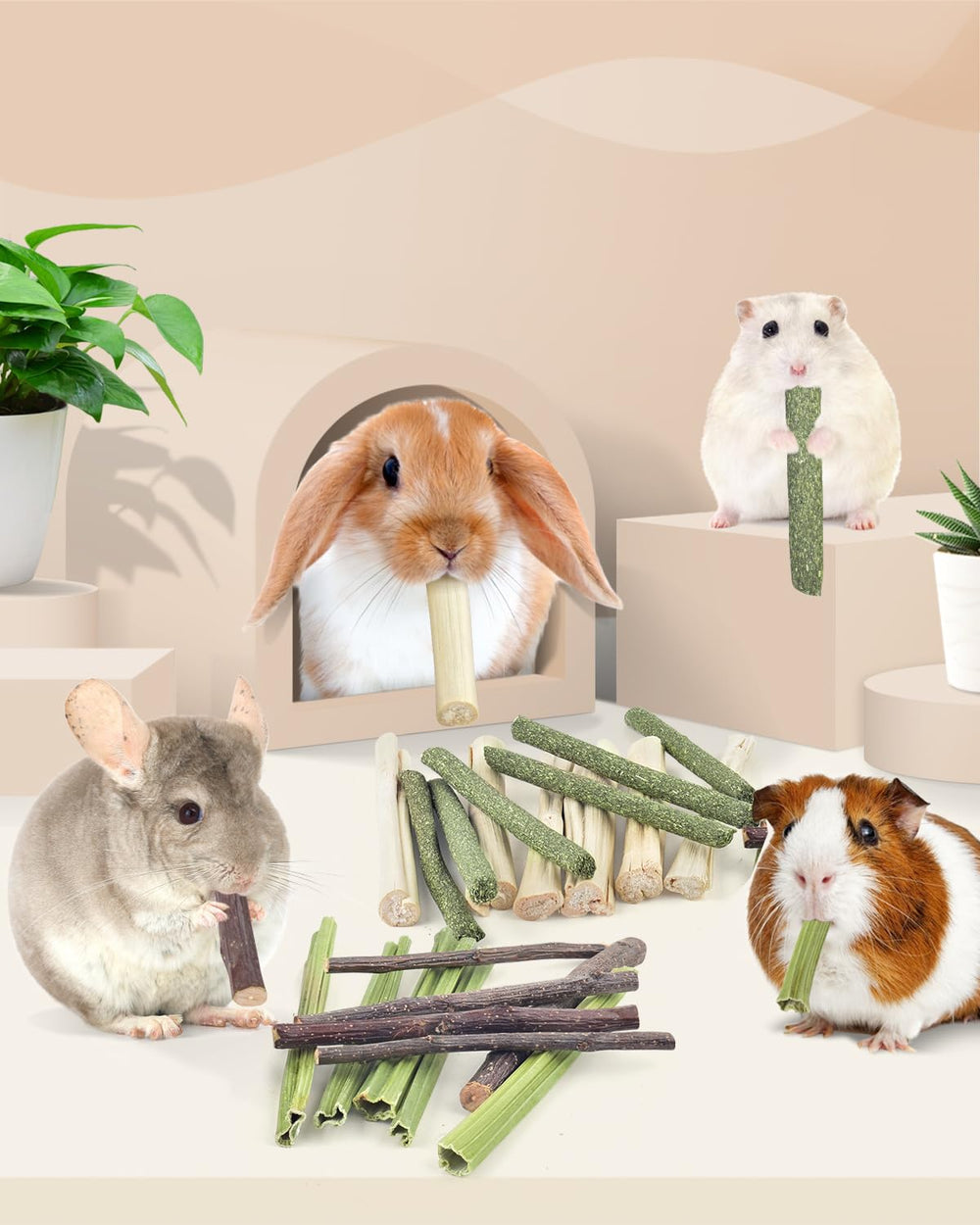 Bissap dental care-focused rodent chew supports molar wear during play.