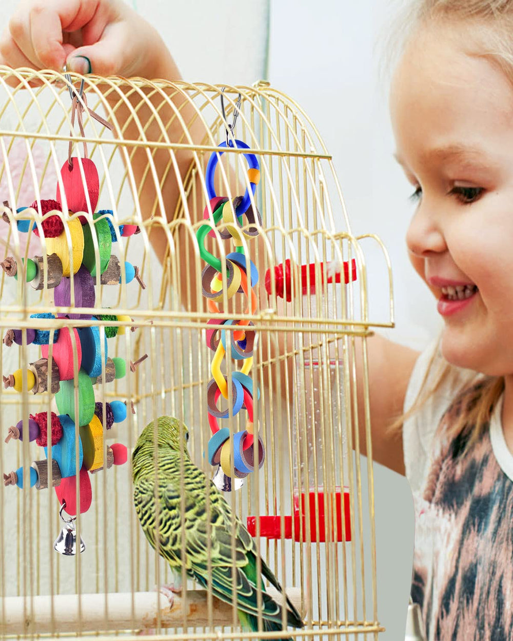 Bissap edible pigments toy adds vibrant, safe color for birds