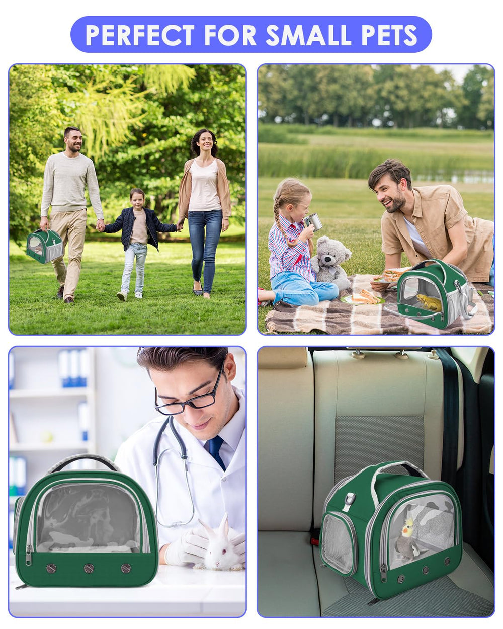 Bissap green travel carrier for small pets keeps lizards, rodents, and birds comfortable.
