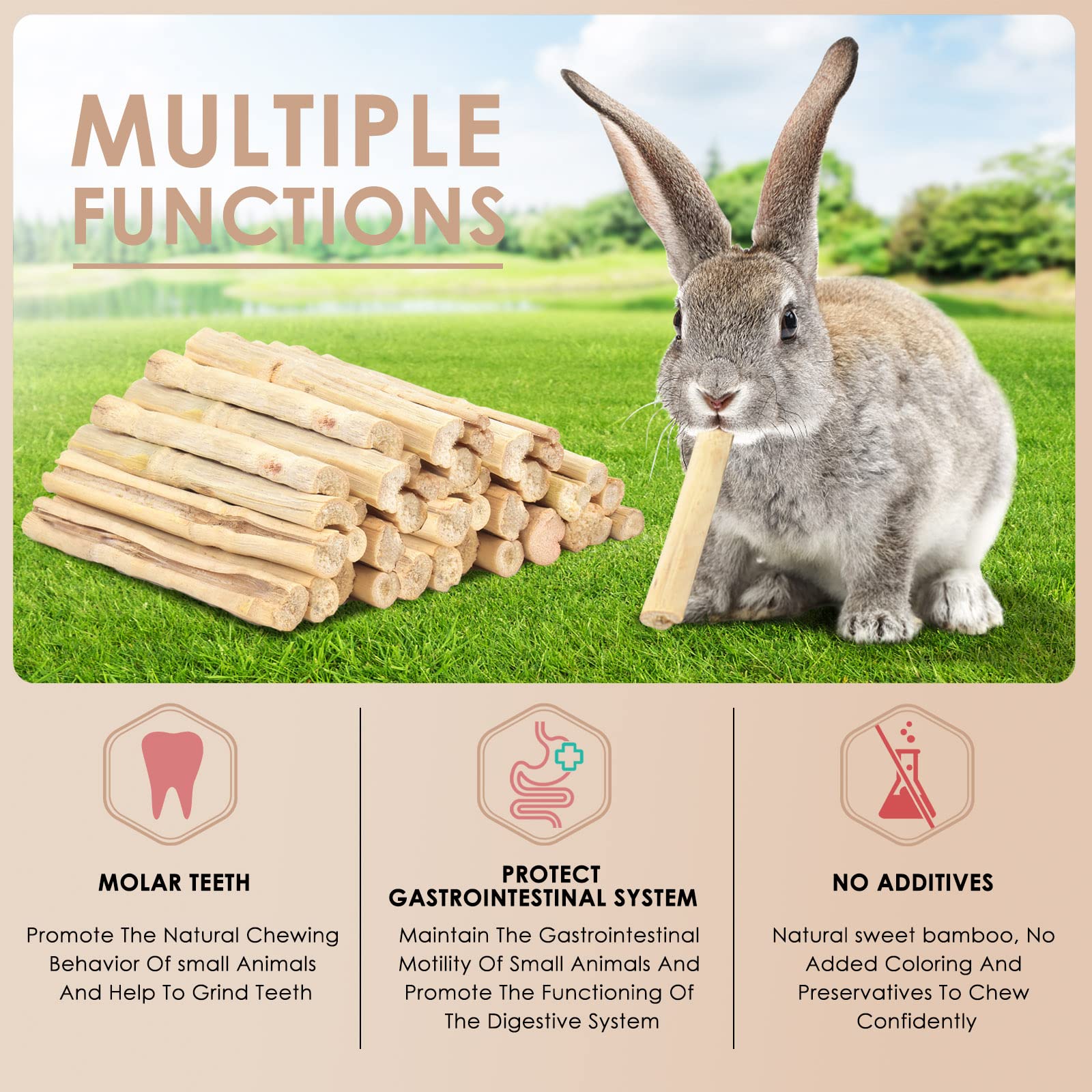 Bissap interactive with pets scene shows bonding during chewing.