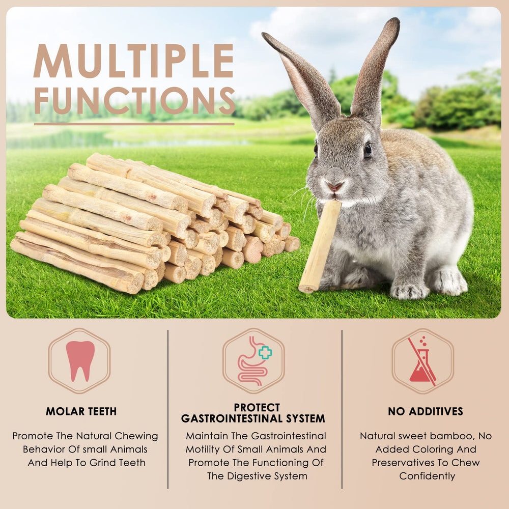 Bissap interactive with pets scene shows bonding during chewing.