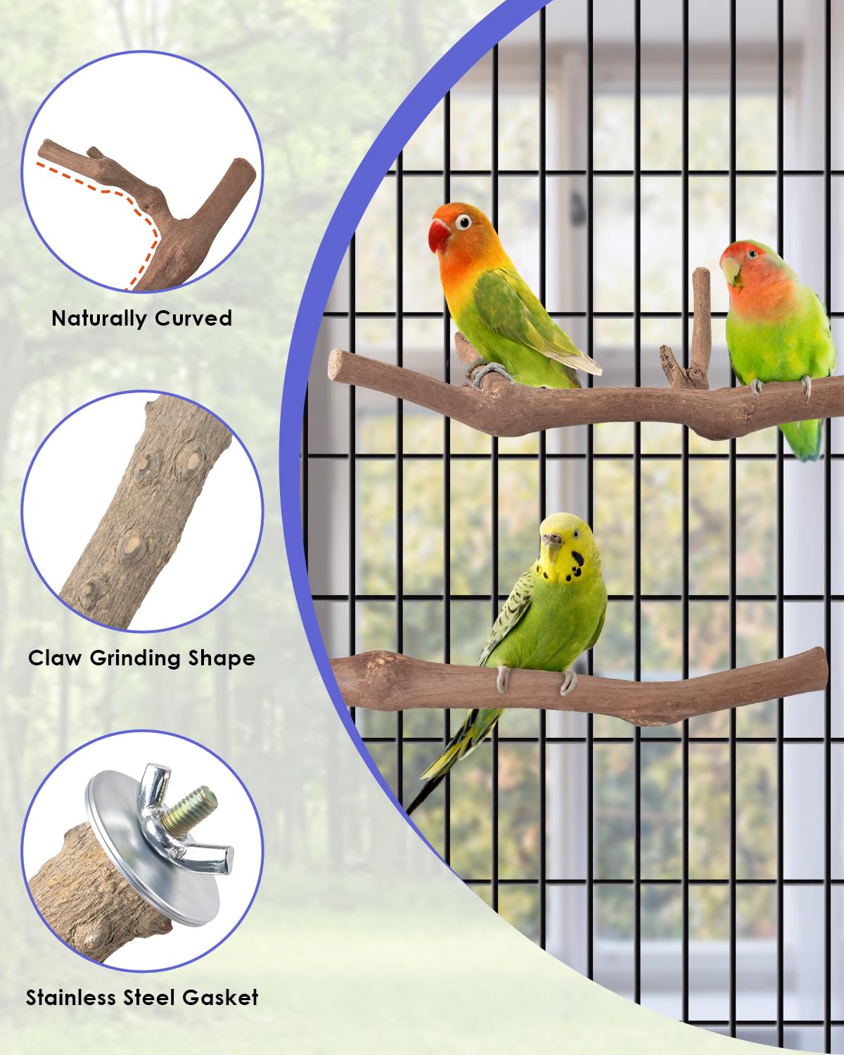 Bissap natural grape wood perches for safe chewing and daily exercise
