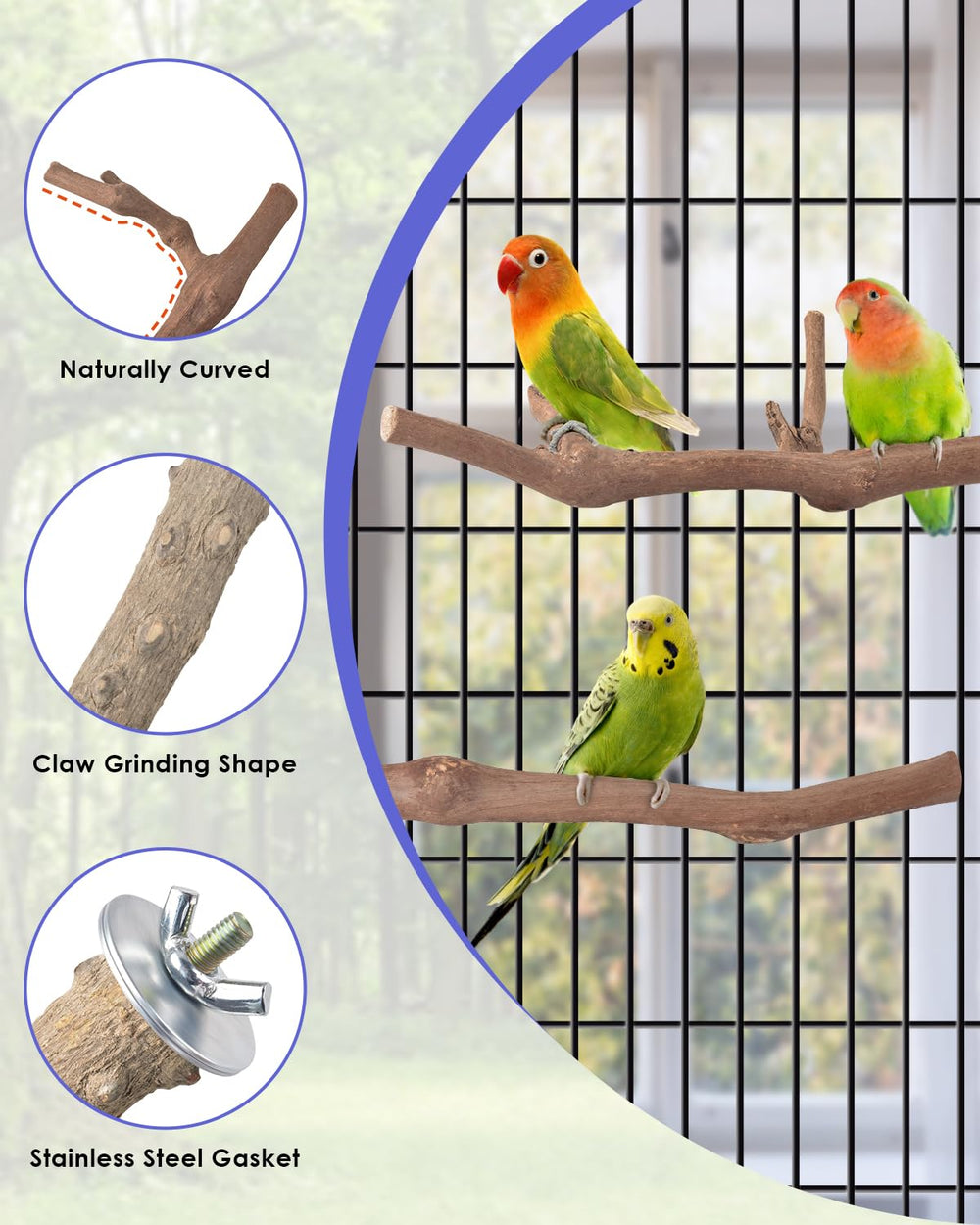 Bissap natural grape wood perches for safe chewing and daily exercise
