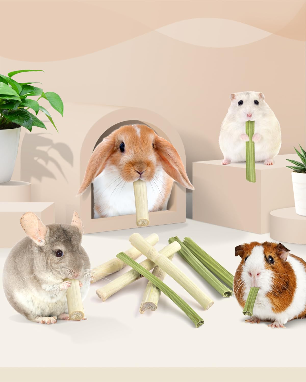 Bissap natural materials close-up with bamboo and papaya stems for safe chewing.