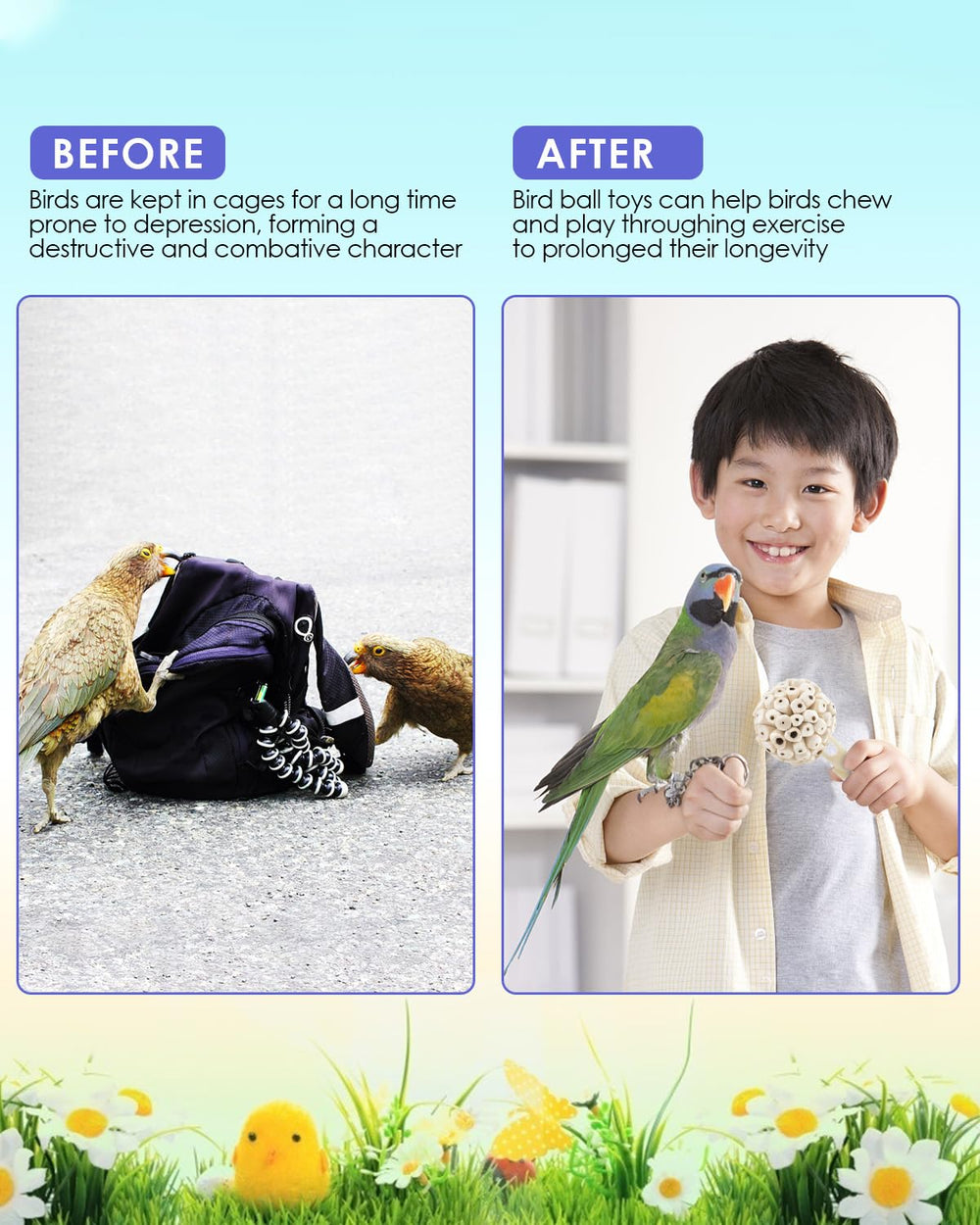 Bissap parrot-toy-roll-and-chase image shows spherical shape for interactive activity.