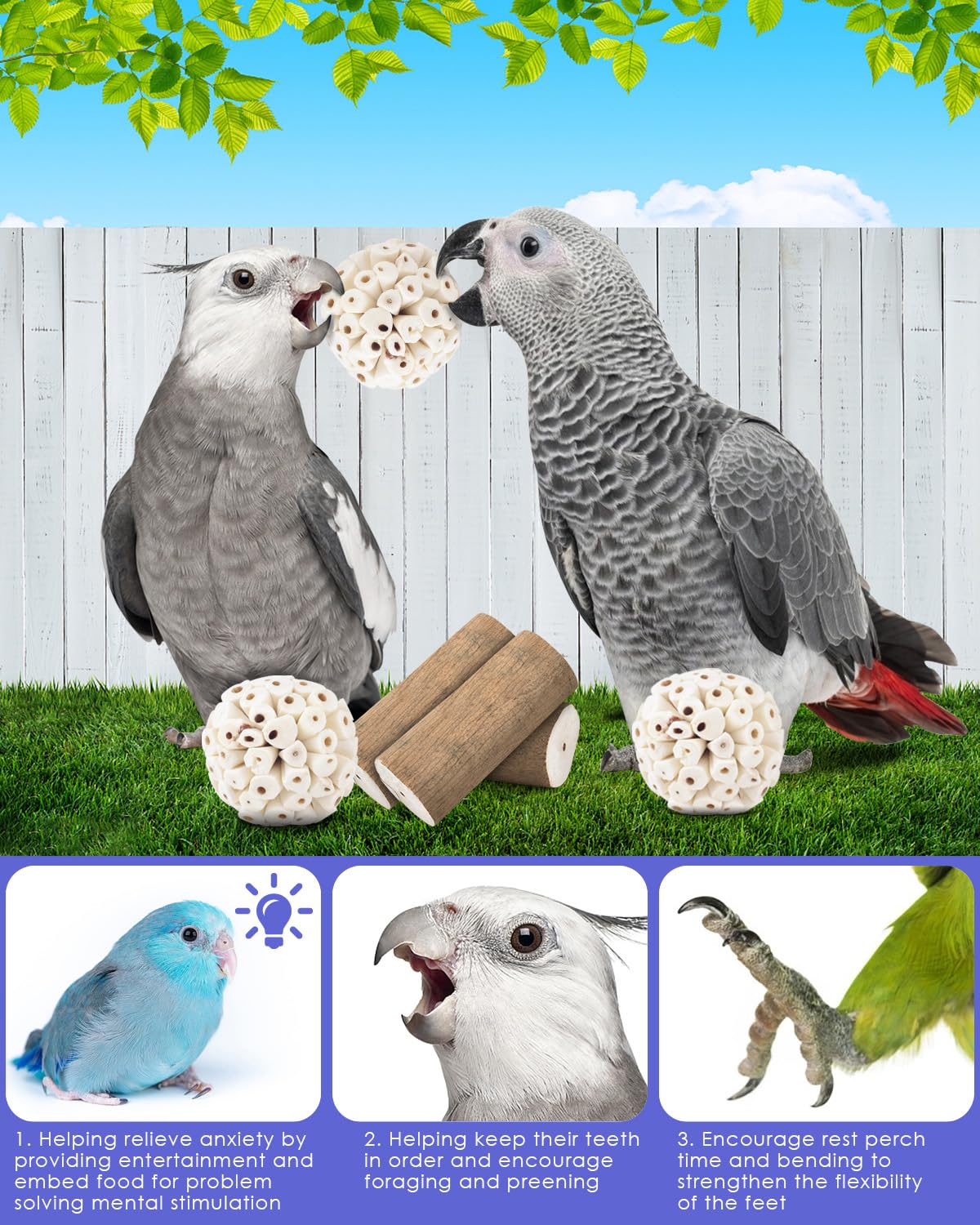 Bissap parrot-toy-teeth-benefit highlights safe chewing to support beak maintenance.