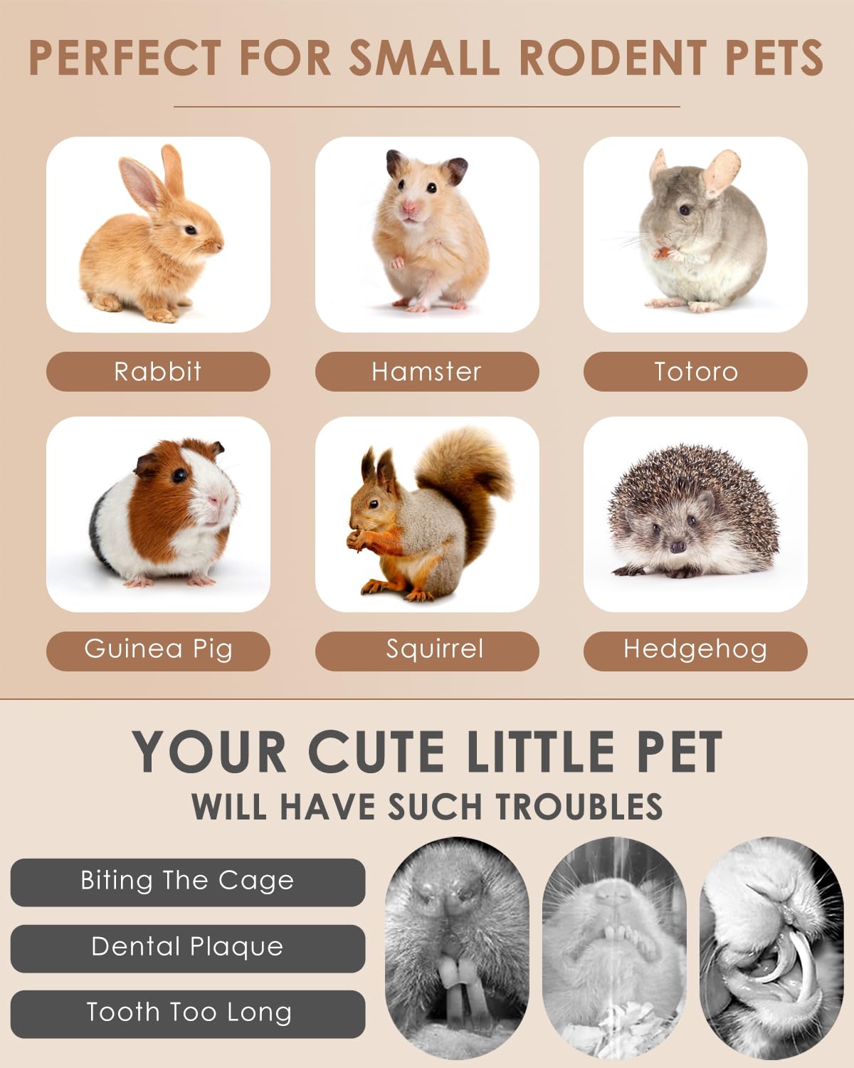 Bissap pet interaction chew time shows bonding opportunities with small pets.