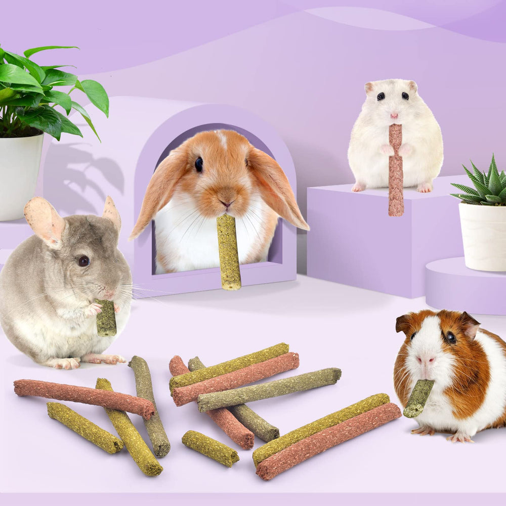Bissap rabbit chew sticks hand-feeding session demonstrates interactive bonding.