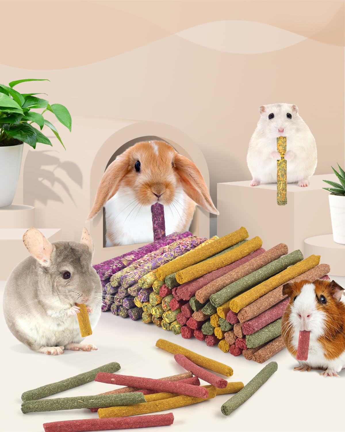 Bissap rabbit chew sticks packaging box shows complete 72-piece set.