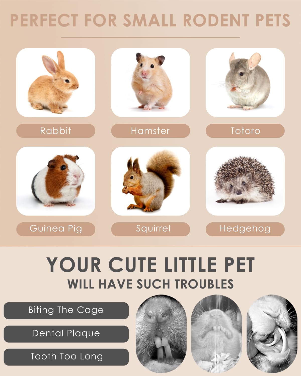 Bissap rabbit chew sticks small pets snack in action highlights safe non-toxic material.