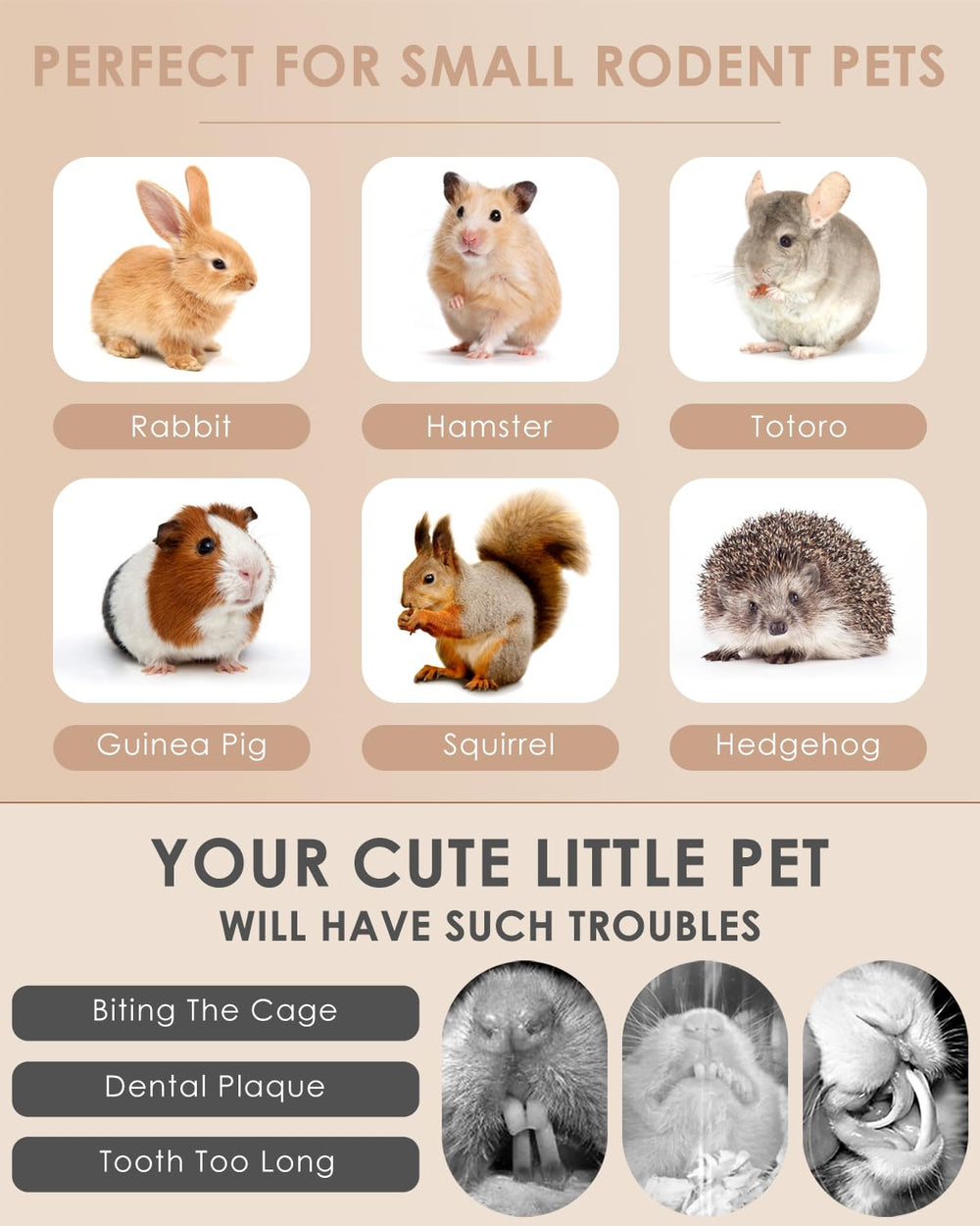 Bissap rabbit chew sticks small pets snack in action highlights safe non-toxic material.