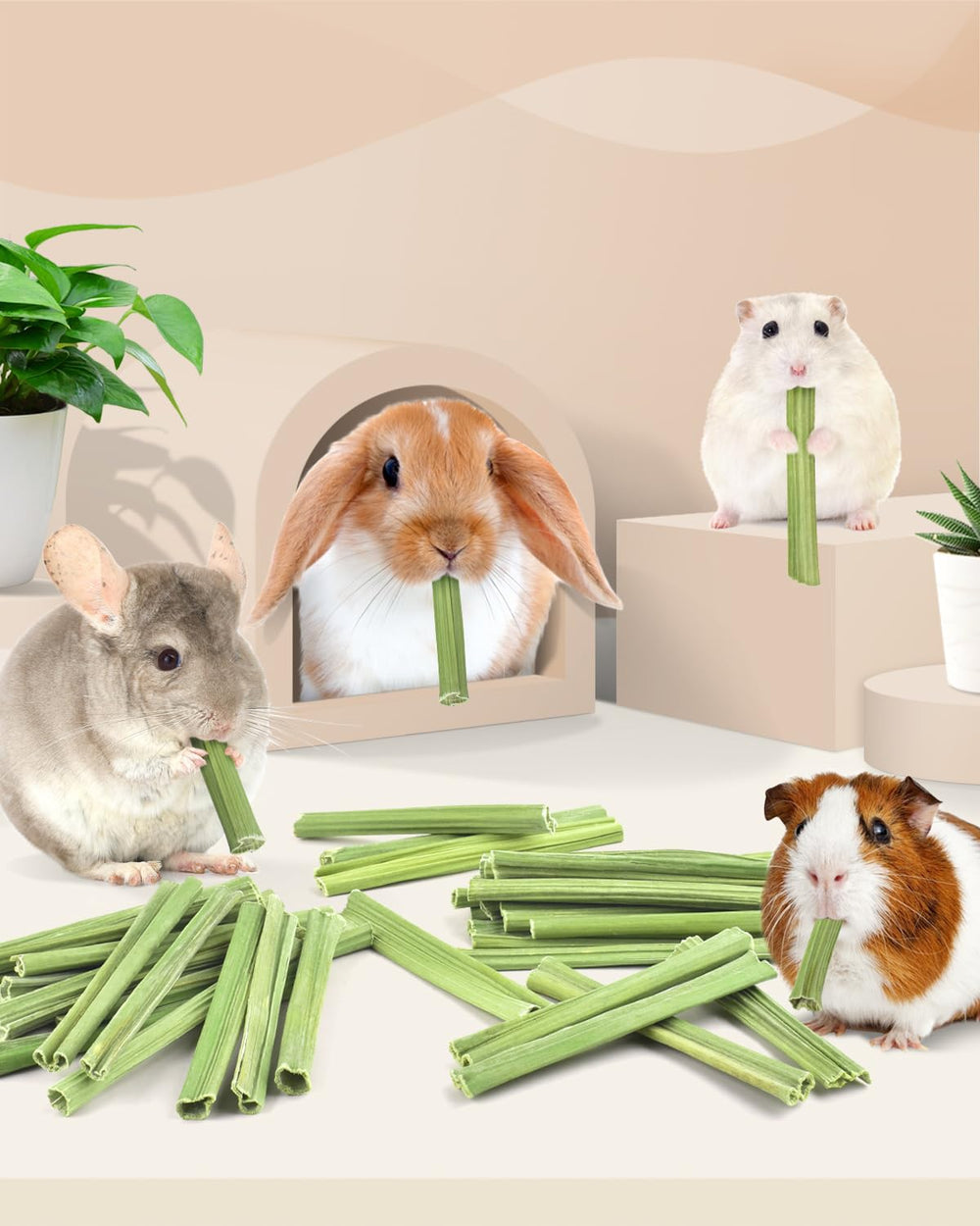 Bissap rodent chew toy design promotes dental wear while chewing