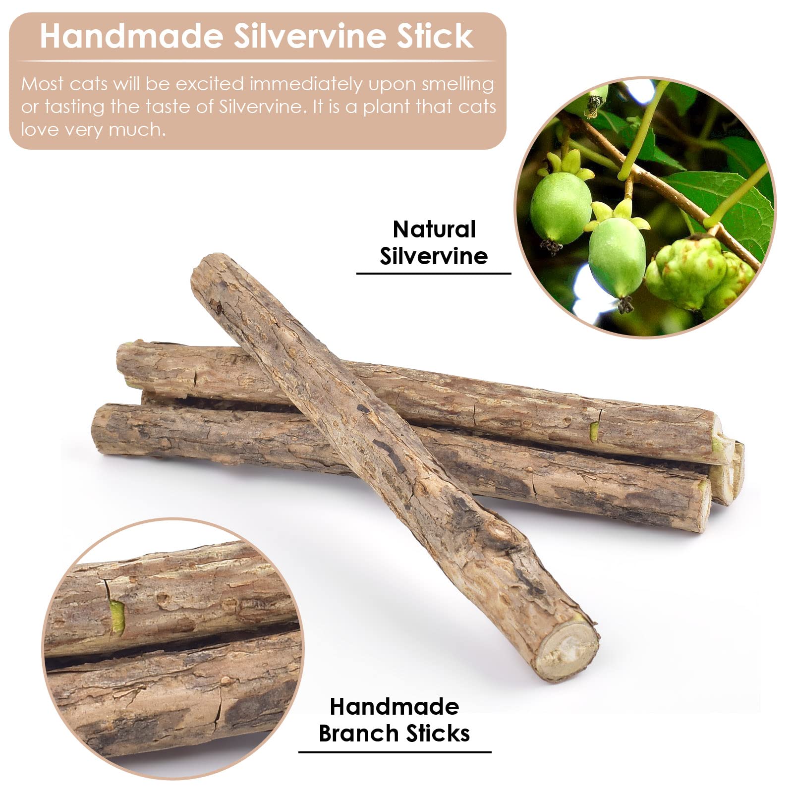 Bissap silvervine chew stick digestive-support emphasizes fiber for gut motility