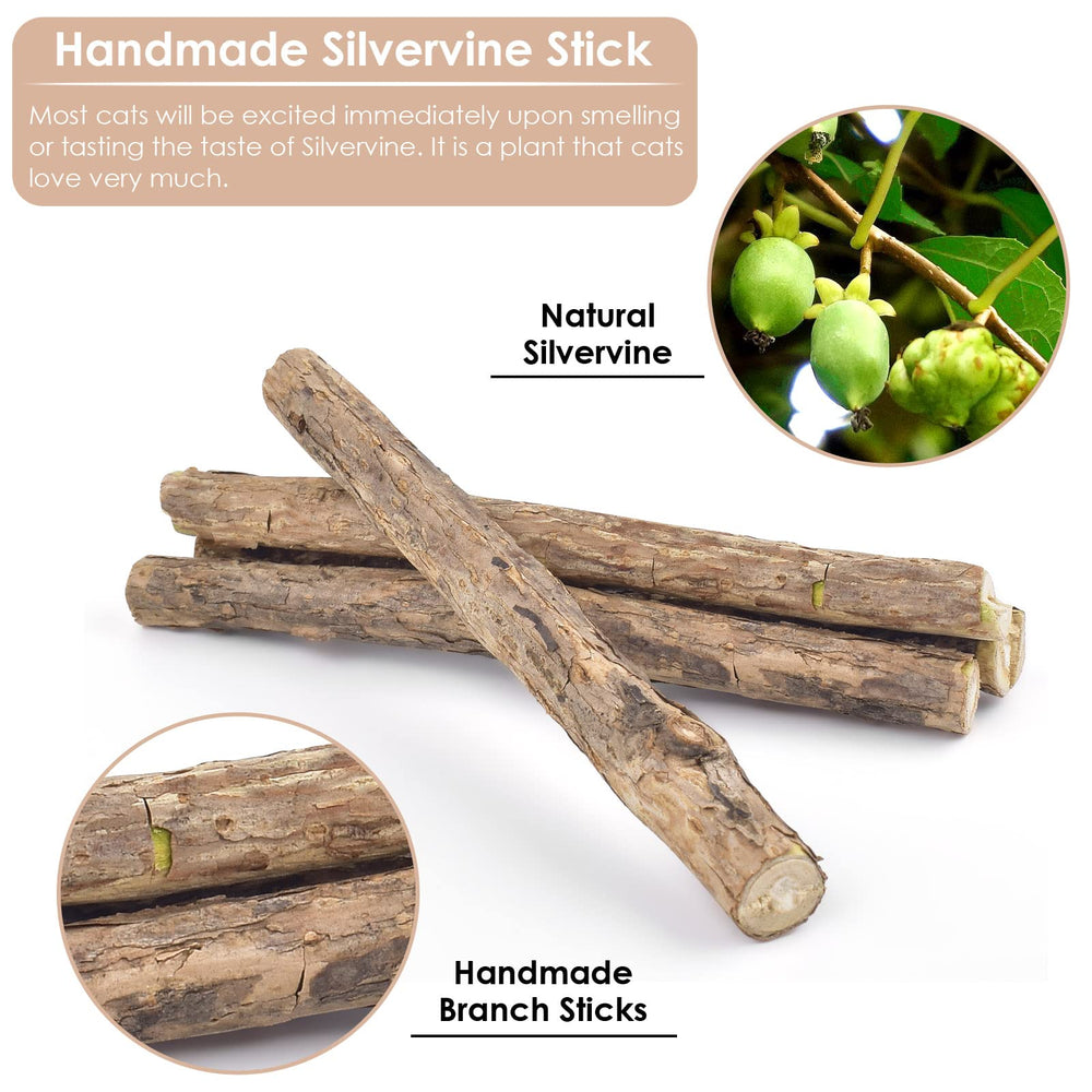 Bissap silvervine chew stick digestive-support emphasizes fiber for gut motility