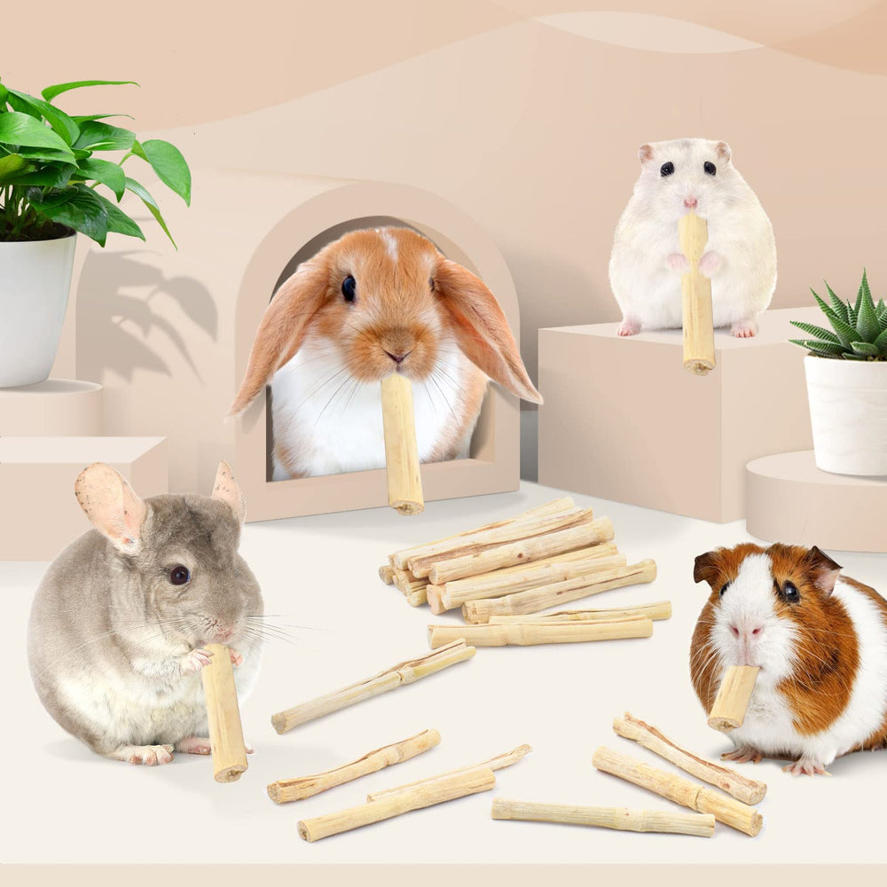 Bissap small animal toys illustrating chewing to reduce boredom.