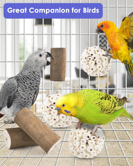 Bissap small-parrot-toys sola-sticks promote safe foraging and playful interaction.