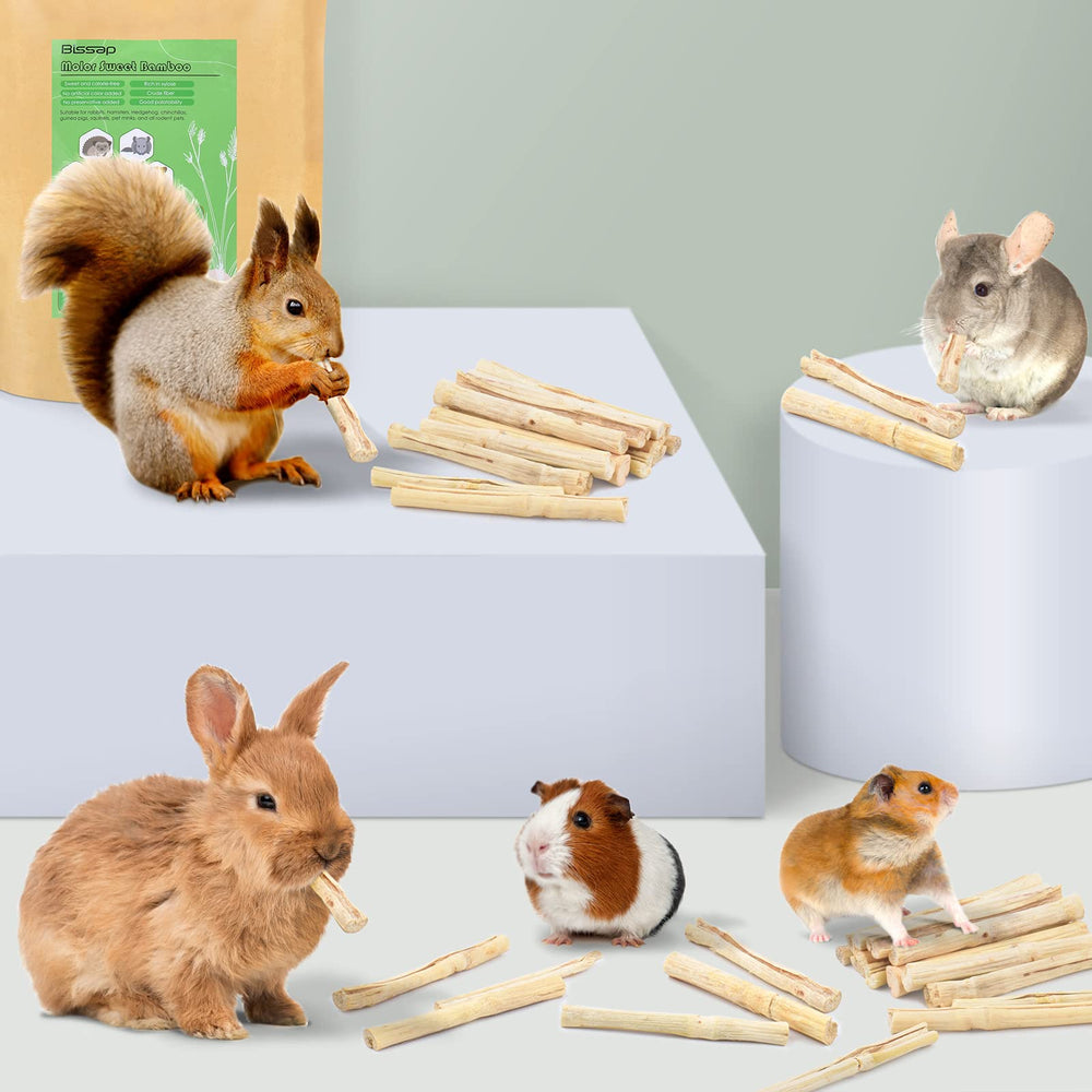 Bissap bamboo chew sticks in guinea pig setup suggest long-tooth maintenance potential.