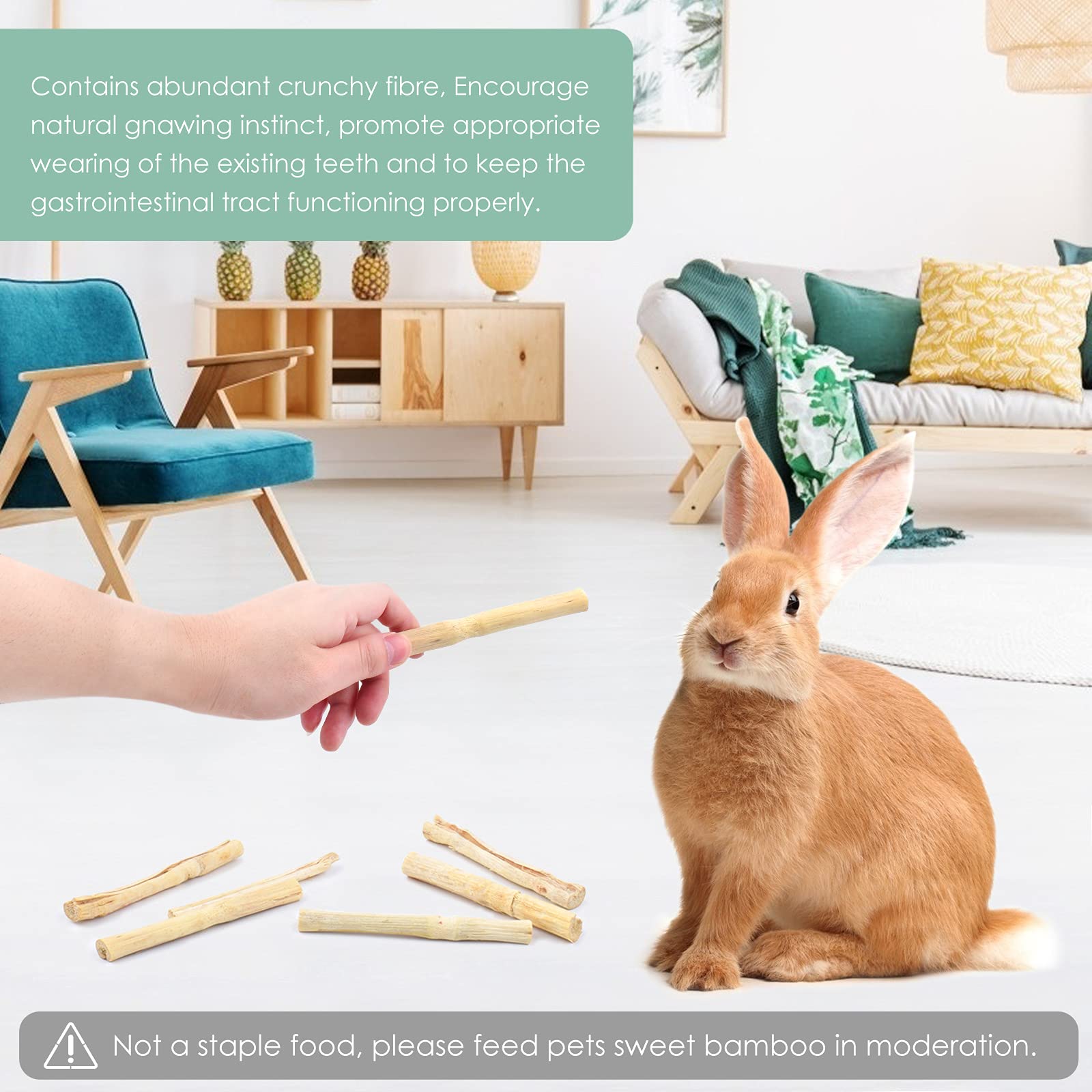 Bissap bamboo chew sticks in hamster cage illustrate enrichment and boredom relief.