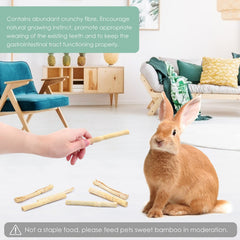 Bissap bamboo chew sticks in hamster cage illustrate enrichment and boredom relief.