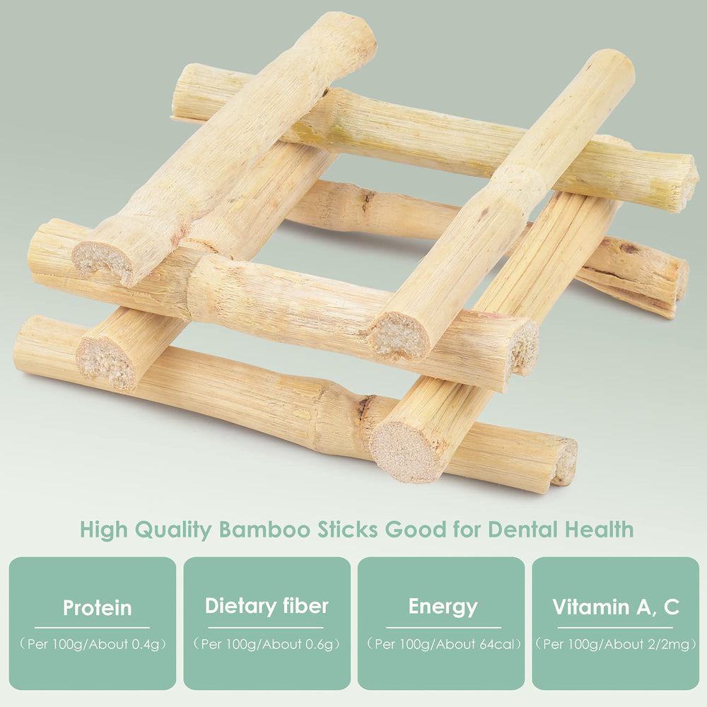 Bissap bamboo chew sticks in rabbit mouth demonstrate chew time and dental wear potential.