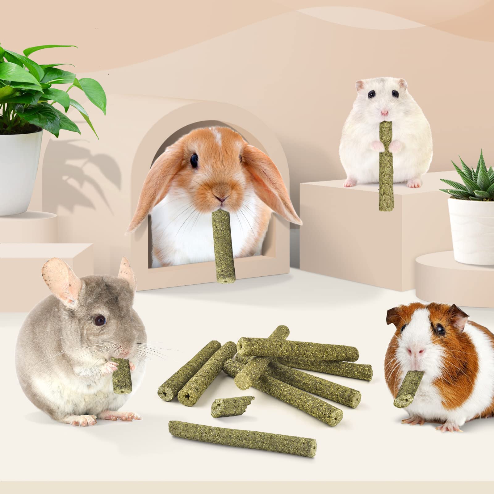 Bissap Timothy Hay Sticks emphasizing dental enrichment through steady chewing.