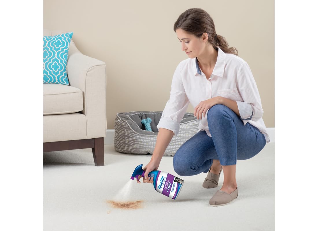 Bissell Woolite remover applied to fabric shows stain lift for pet messes.