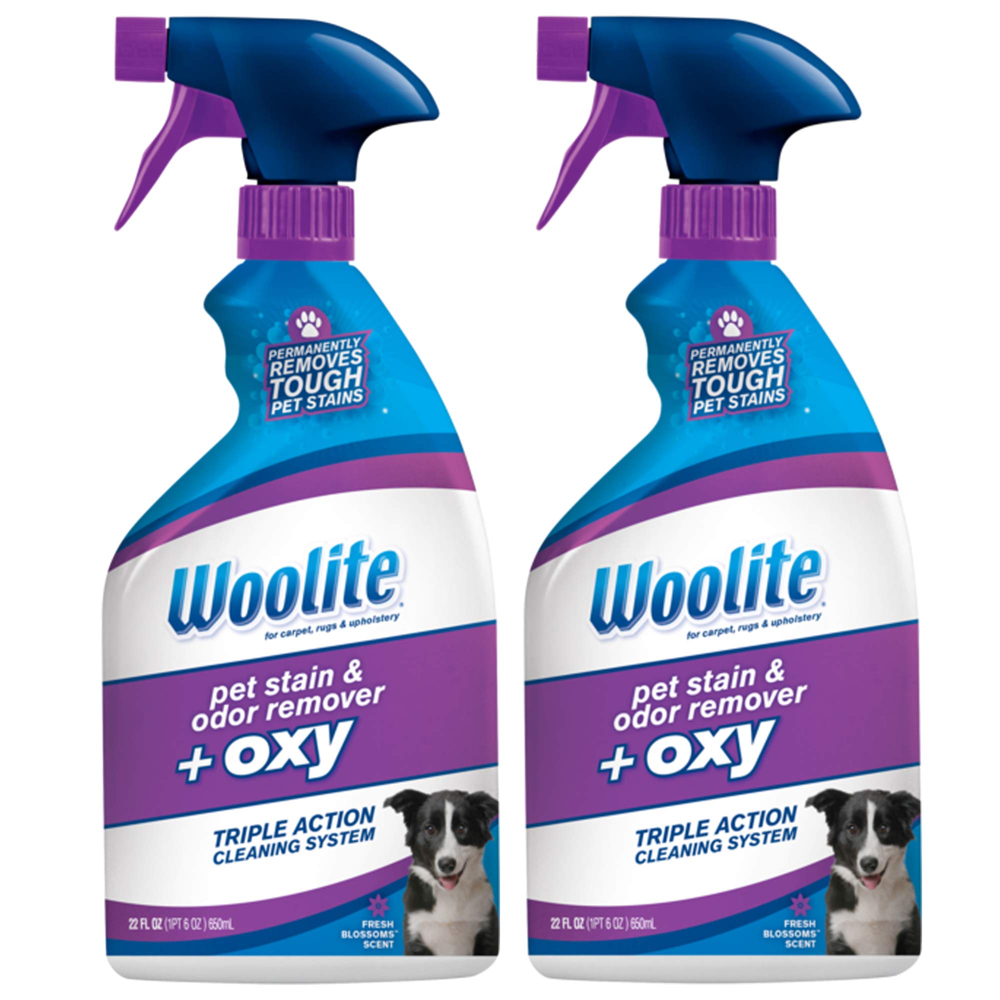 Bissell Woolite Pet Stain and Odor Plus Oxy pack of 2 bottle cleans tough stains.