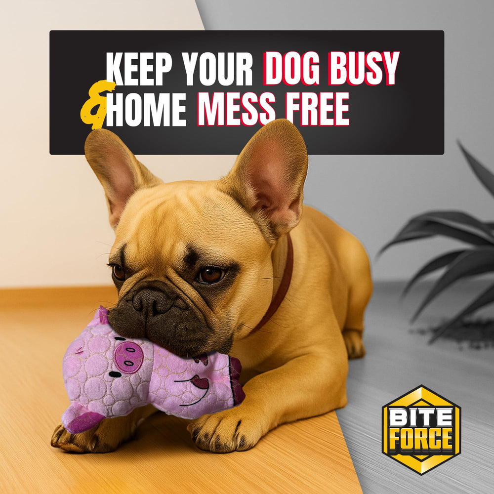 Bite Force holiday toy for celebrations and gifts.