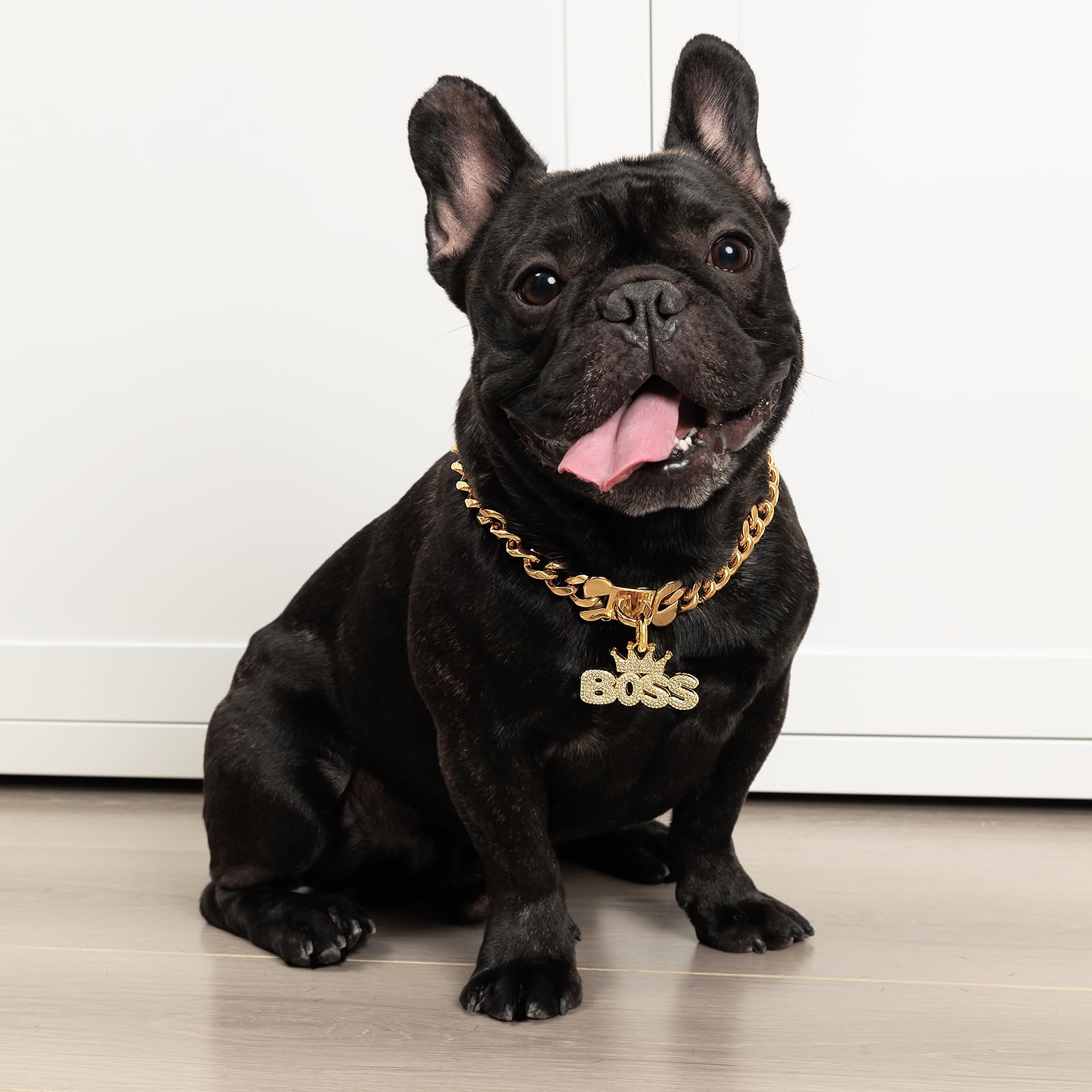 BiteKing 16-inch gold dog collar fit image demonstrates precise sizing for medium dogs.