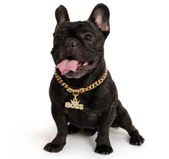 BiteKing 18K Cuban Link Dog Collar close-up highlighting premium plating for comfortable wear.