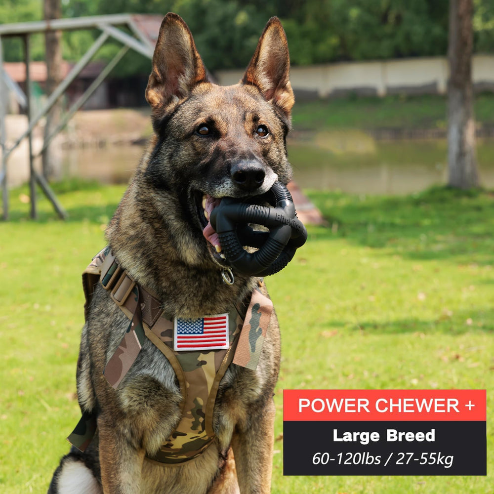 BiteKing dog ball textured grid improves grip for easy pickup and play.