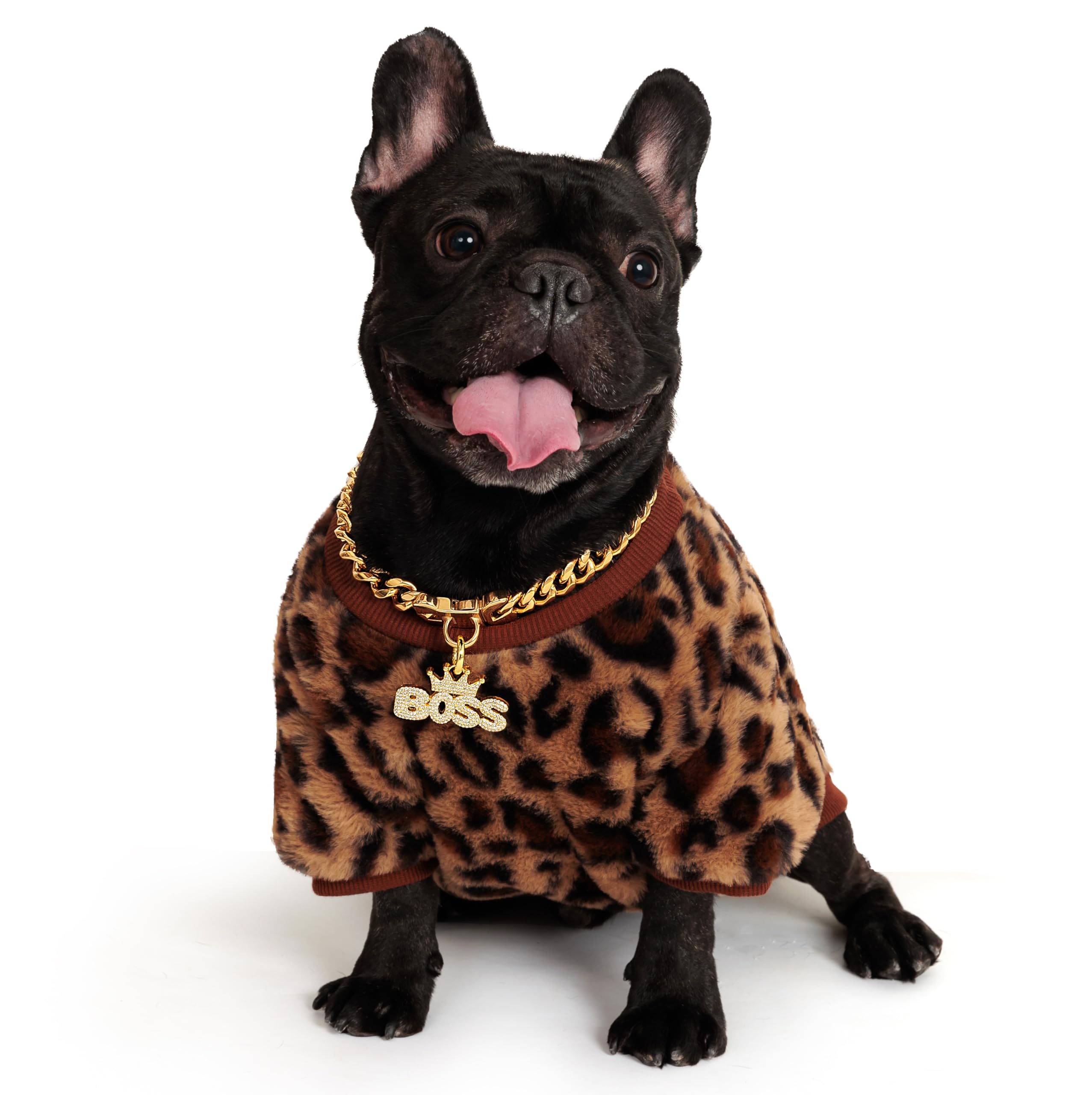 BiteKing puppy-style gold collar presents a stylish, gift-ready option for pups.