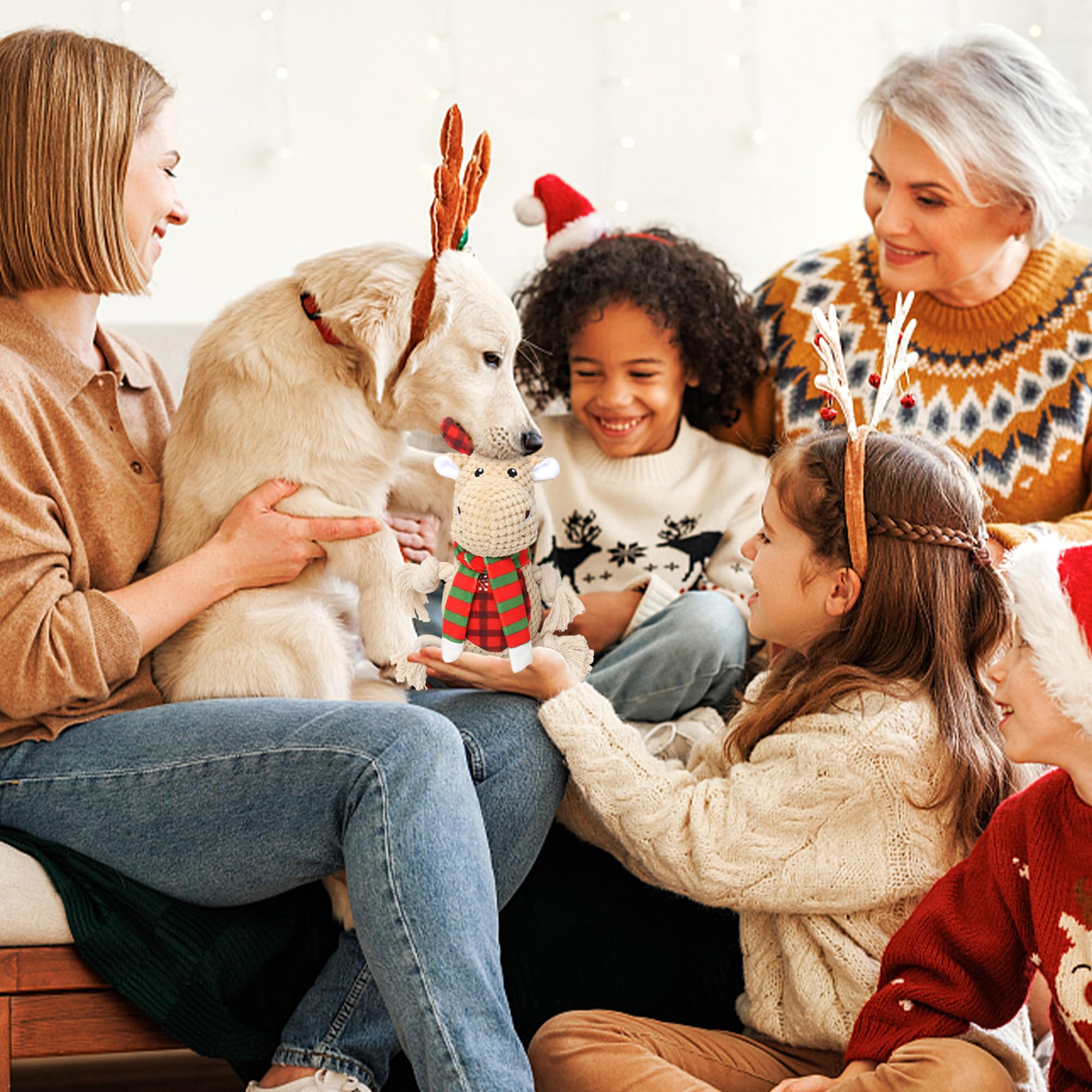 BitPeUG dog toy double stitching—extra durability for long-lasting play.