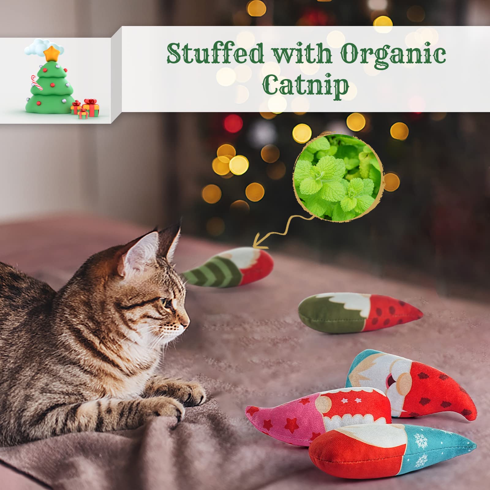 Biubiucat kitten-chew plush catnip toy demonstrating safe teething fun and dental support.