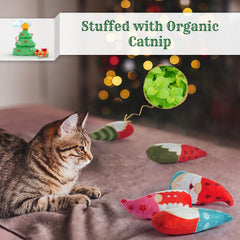 Biubiucat kitten-chew plush catnip toy demonstrating safe teething fun and dental support.