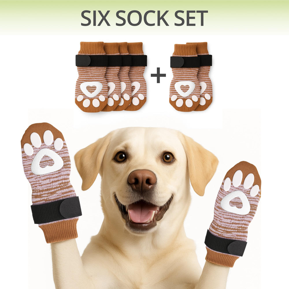 Bixie six-pack anti-slip socks provide versatile paw protection for multiple uses