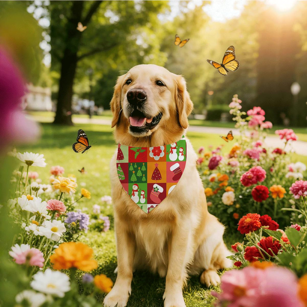 BKDJPC dog bandana gift-ready packaging makes a thoughtful holiday present.